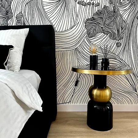 公寓 普拉克扎威希拉公寓 *