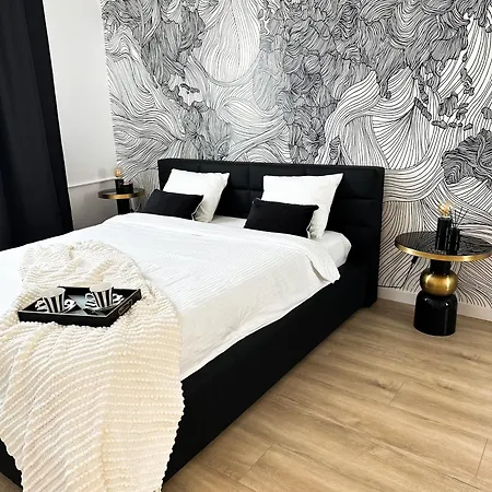 公寓 普拉克扎威希拉公寓 华沙